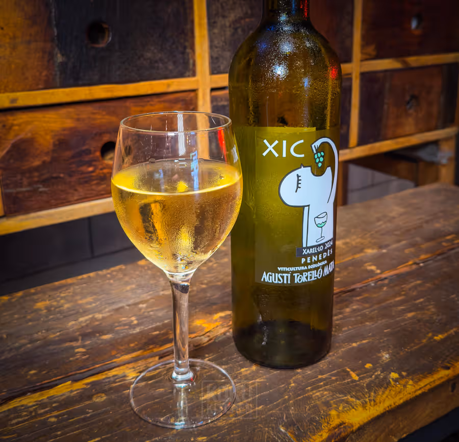 Vino Blanco Xic del Mel (copa)